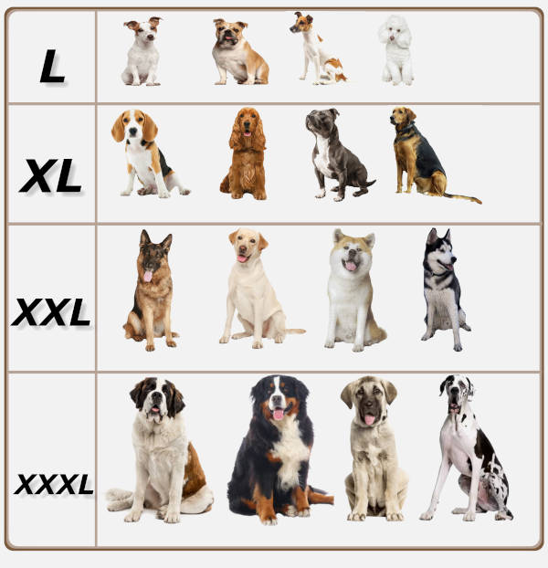 tabela z rasami psow